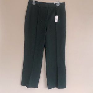 Express Dress pants